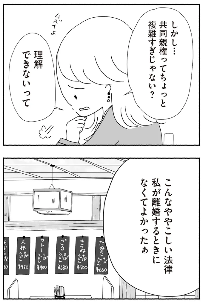 『離婚しても終わらない 共同親権がはじまる日』より