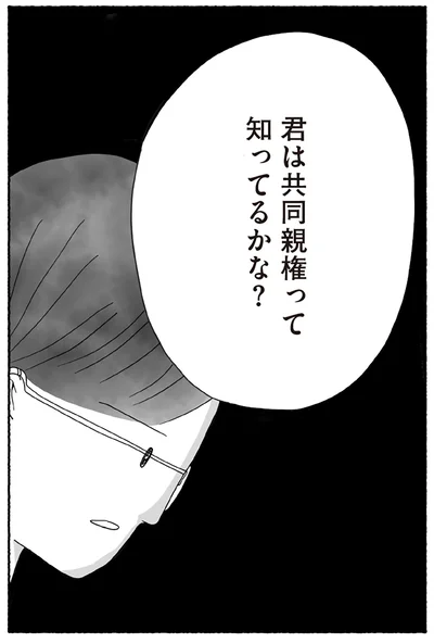 『離婚しても終わらない 共同親権がはじまる日』より