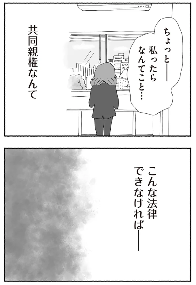『離婚しても終わらない 共同親権がはじまる日』より