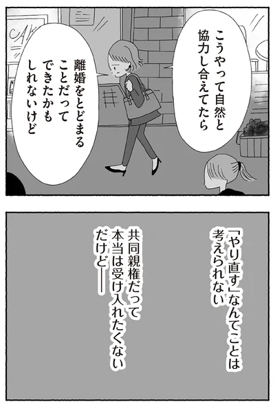 『離婚しても終わらない 共同親権がはじまる日』より