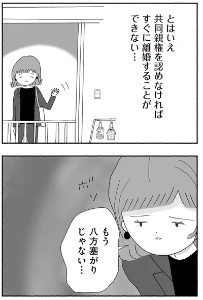 『離婚しても終わらない 共同親権がはじまる日』より