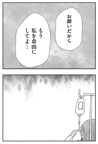 『離婚しても終わらない 共同親権がはじまる日』より