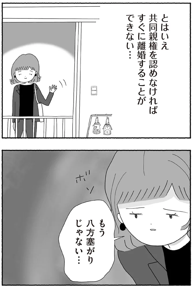 『離婚しても終わらない 共同親権がはじまる日』より