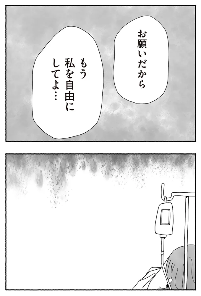『離婚しても終わらない 共同親権がはじまる日』より