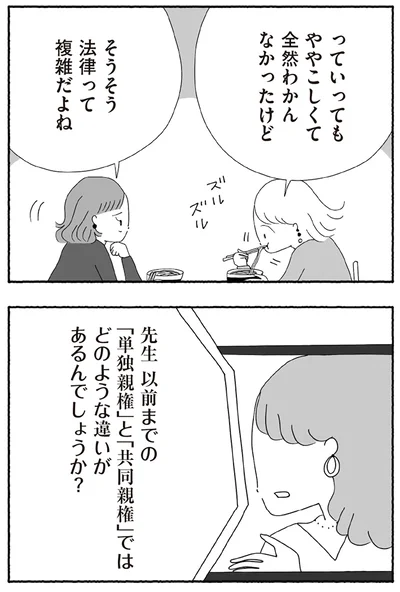 『離婚しても終わらない 共同親権がはじまる日』より