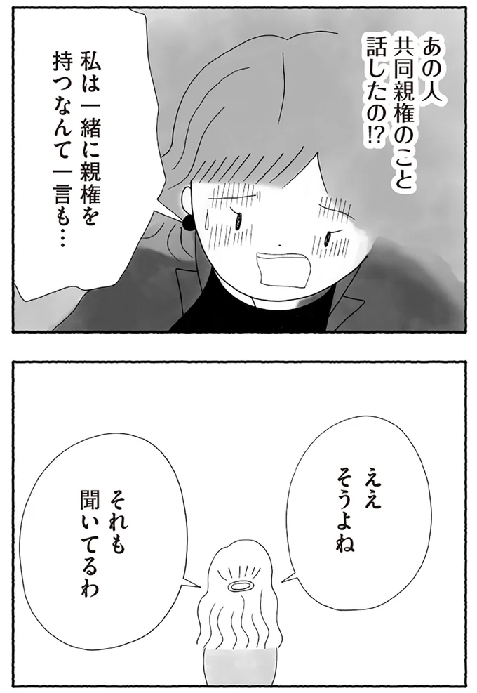 『離婚しても終わらない 共同親権がはじまる日』より