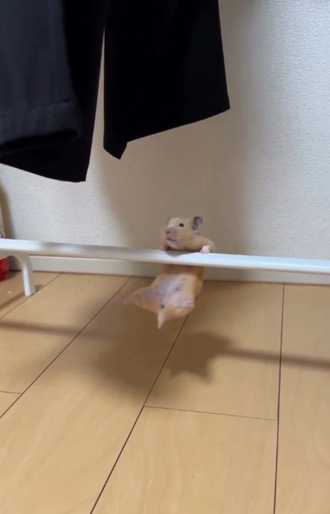 体を持ち上げる▶ちょこんと見える…(⇒次へ)