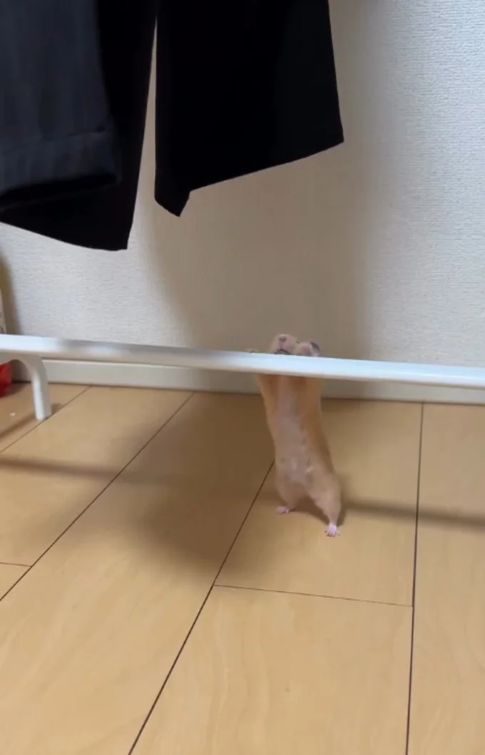 パイプに手を伸ばす▶先ほどより…(⇒次へ)