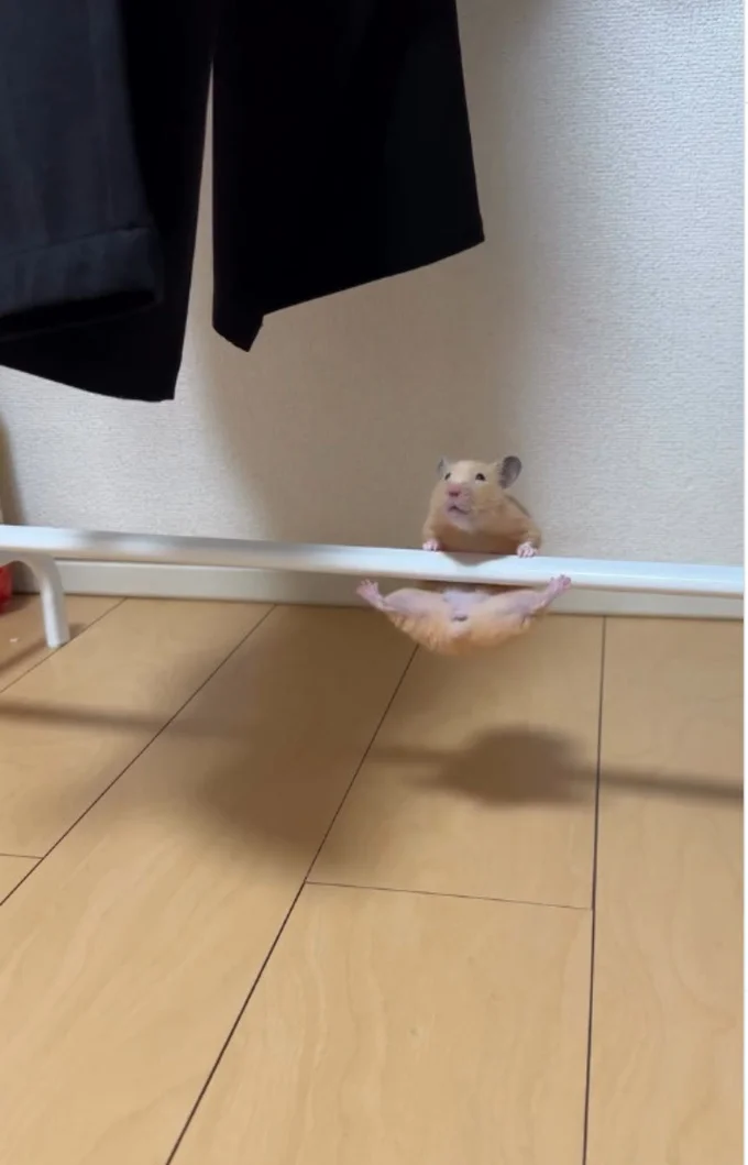 大きく開いた後ろ足▶大技に成功!?(⇒次へ)