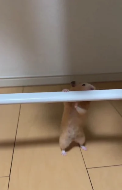 ベストポジションを探している▶パイプに手をかけ…（⇒次へ）