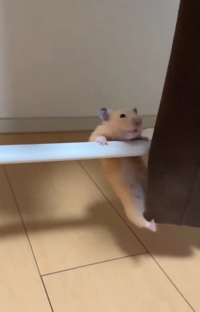 足をブラブラ▶反動をつけ…(⇒次へ)