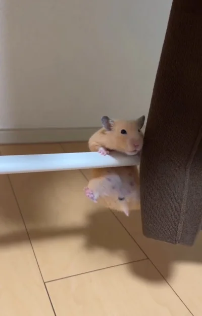 体を持ち上げる▶手に力を込め…（⇒次へ）