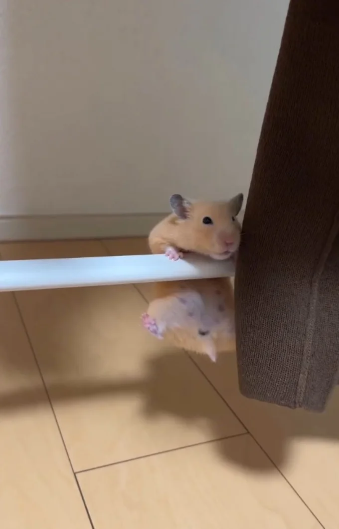 体を持ち上げる▶手に力を込め…(⇒次へ)