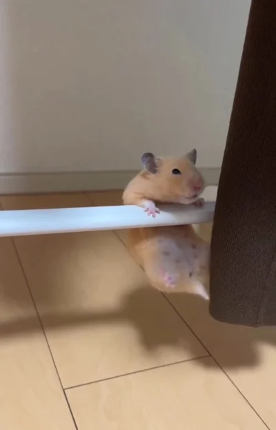 手を滑らせそうになる▶再び…（⇒次へ）