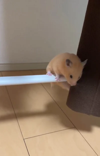 パイプの上に上がった！▶大技が成功したけど…（⇒次へ）