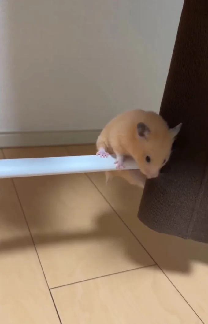 パイプの上に上がった!▶大技が成功したけど…(⇒次へ)