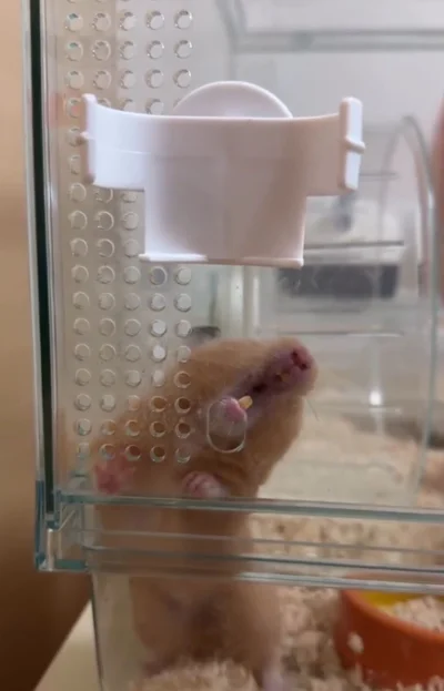 下あごを入れてみる▶お次は…（⇒次へ）