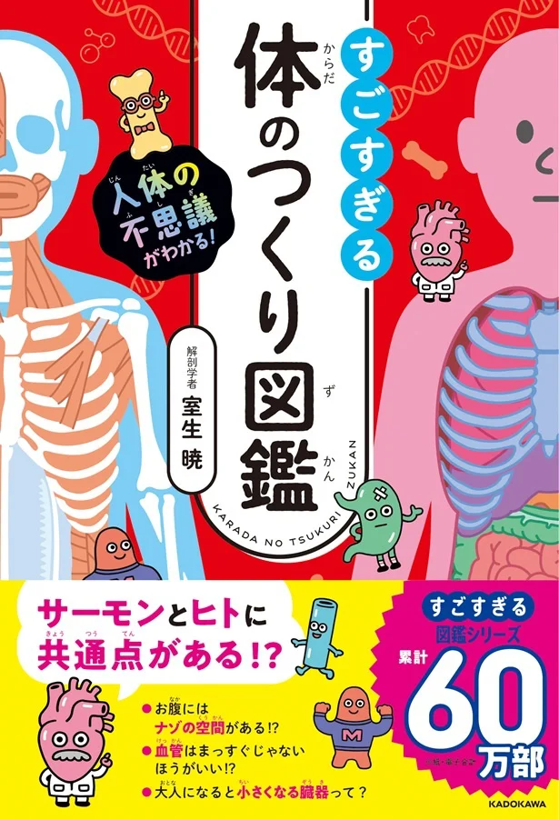 学校の理科で習う「人体の仕組み」の一歩先へ！『人体の不思議がわかる！ すごすぎる体のつくり図鑑』