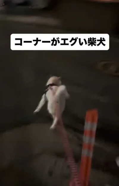 サイドステップで歩き始める「トトちゃん」（⇒次へ）