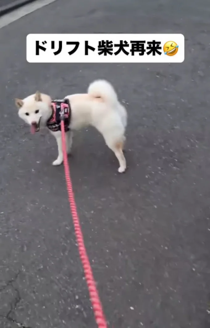 満足そうな表情▶されるがまま…(⇒次へ)