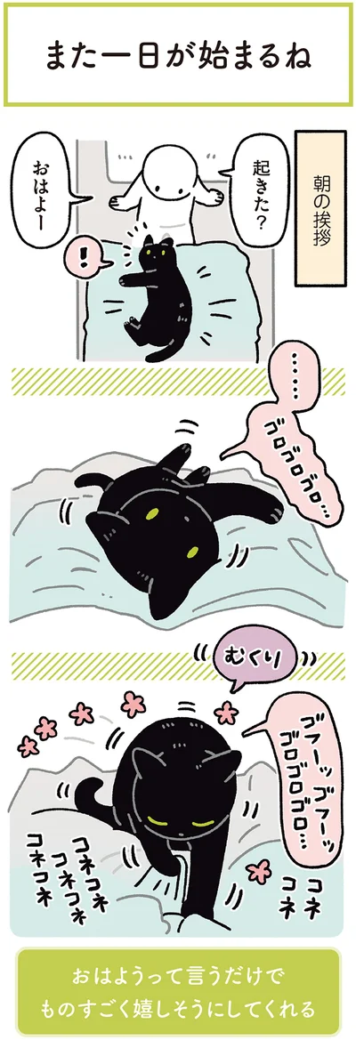 『黒猫ろんと暮らしたら7』より