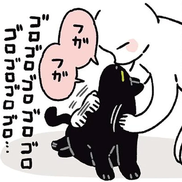 飼い主とたっぷりふれあって大満足！黒猫ろんの脱力ポーズ