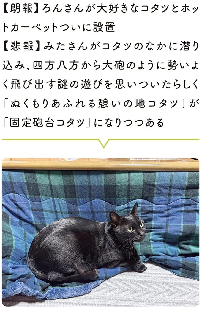 コタツとホットカーペットついに設置