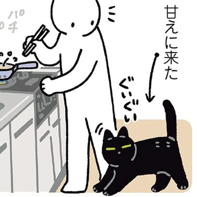料理中にやってきた黒猫ろん