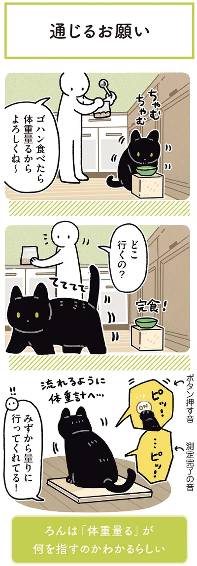 ゴハン食べたら体重量るからよろしくね～
