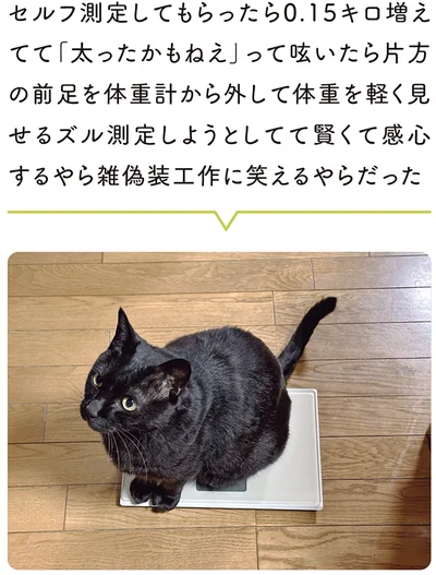 「太ったかもねえ」と呟くと