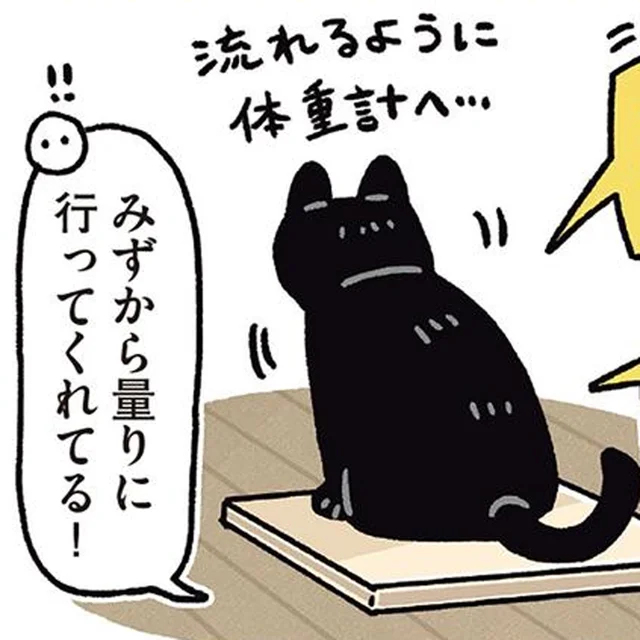 「体重測ろうか」で定位置へ。セルフ体重測定をこなす黒猫ろん