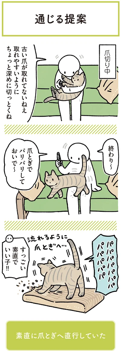 爪とぎでパリパリしておいで～