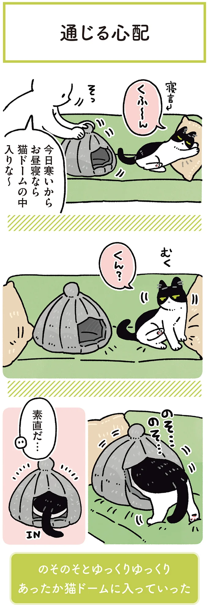 今日寒いからお昼寝なら猫ドームの中入りな~