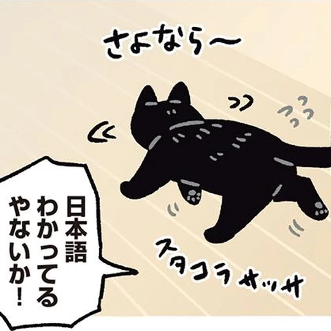 日本語わかってるやないか!