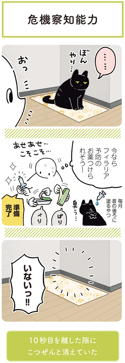 今ならフィラリア予防のお薬つけられそう！