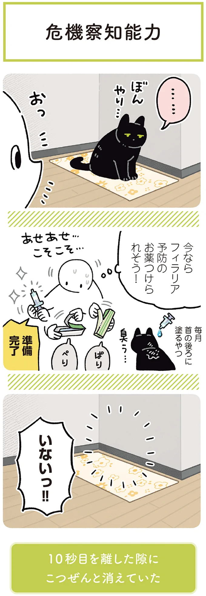 今ならフィラリア予防のお薬つけられそう!