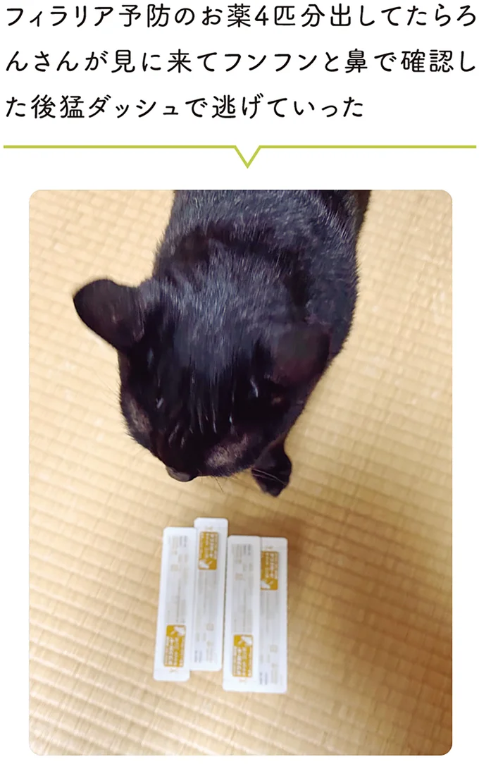 薬を見て猛ダッシュで逃げていった