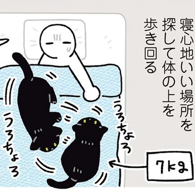 布団の上をうろちょろ