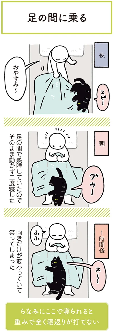 二度寝したら向きだけ変わっていて笑ってしまった