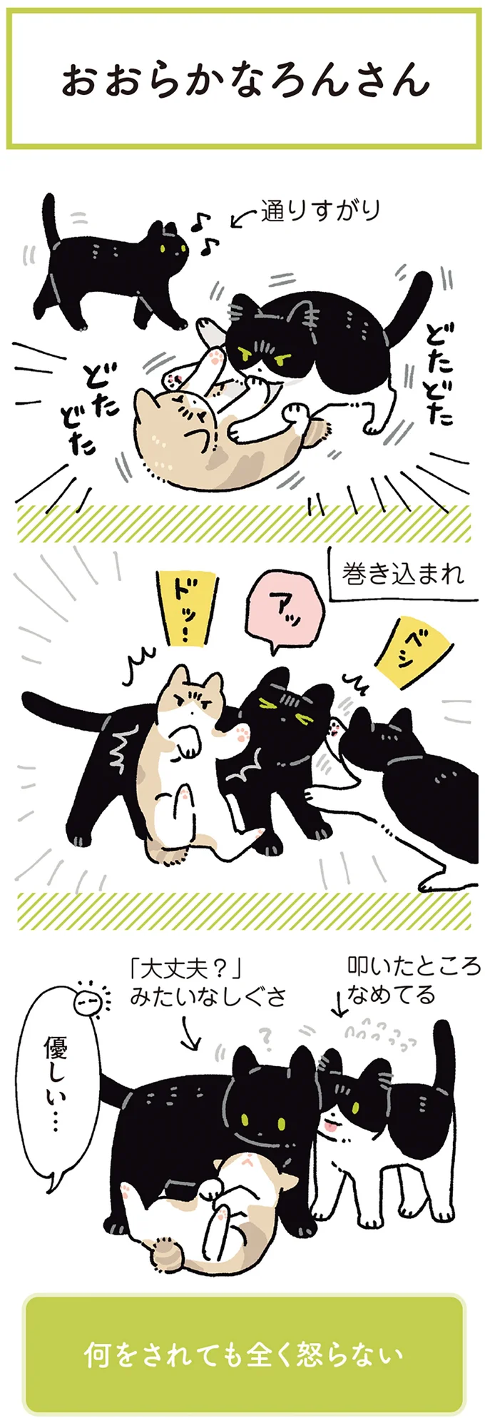 何をされても全く怒らない