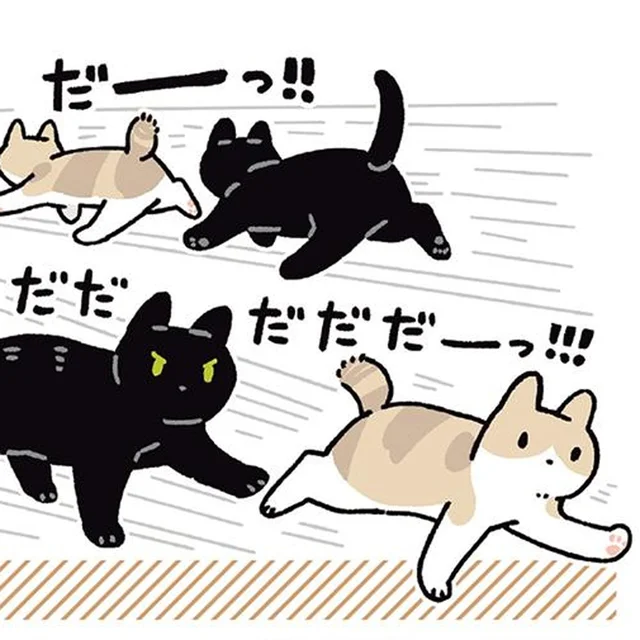遊びに夢中でも思いやりは満点！ジェントルマンな黒猫ろん