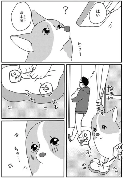 『あしょんでよッ〜うちの犬ログ〜10』より