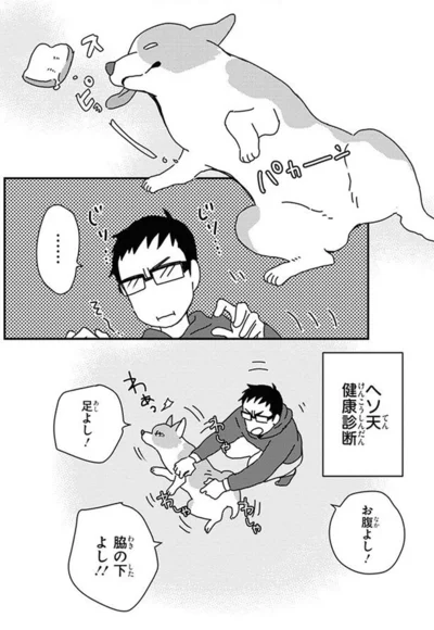 『あしょんでよッ〜うちの犬ログ〜10』より