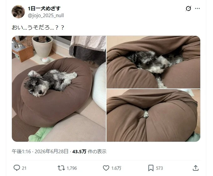 おい…うそだろ…??▶夜のお散歩は…(⇒次へ)