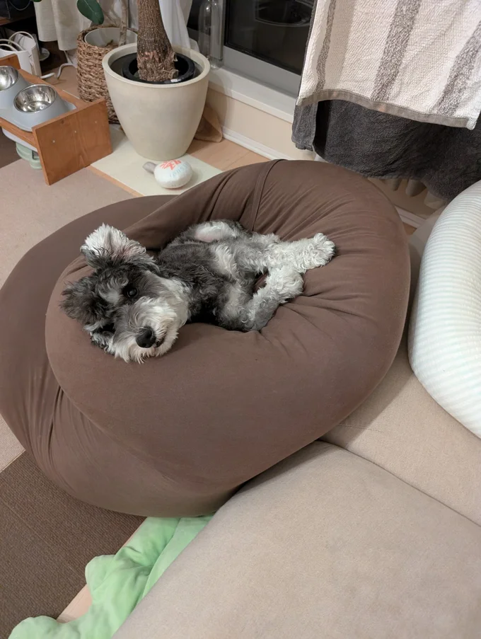 まったりとくつろいでいます▶クッションに身をゆだねていると…(⇒次へ)