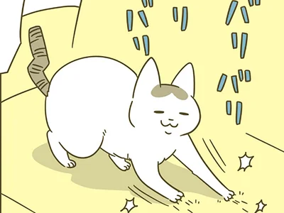 バリバリ爪とぎする猫