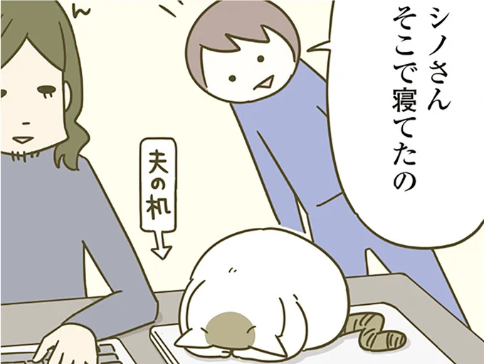 ノートパソコンの上で