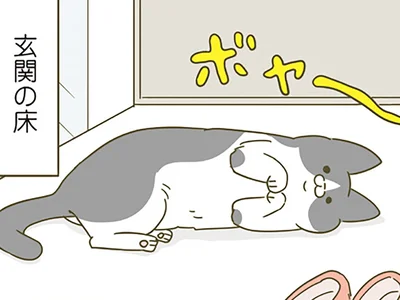 玄関の床