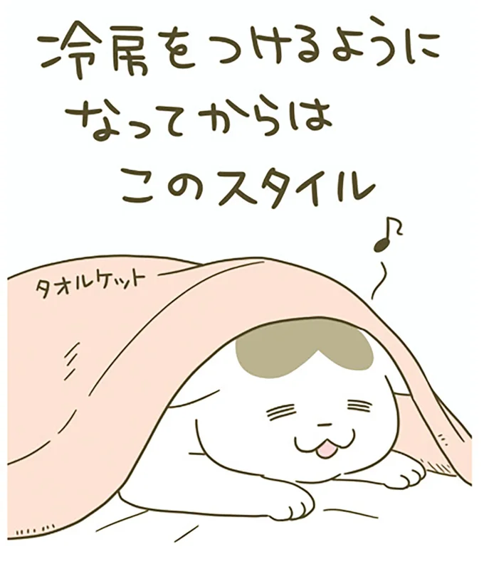 冷房をつけるようになってからはこのスタイル