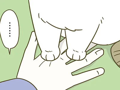 猫によく踏まれる
